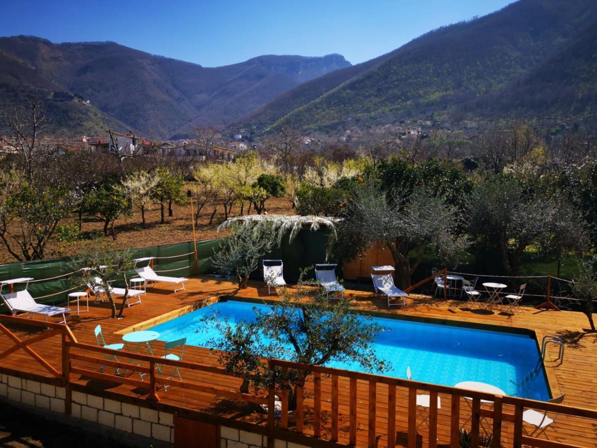 B & B Evergreen Corbara  Exterior foto