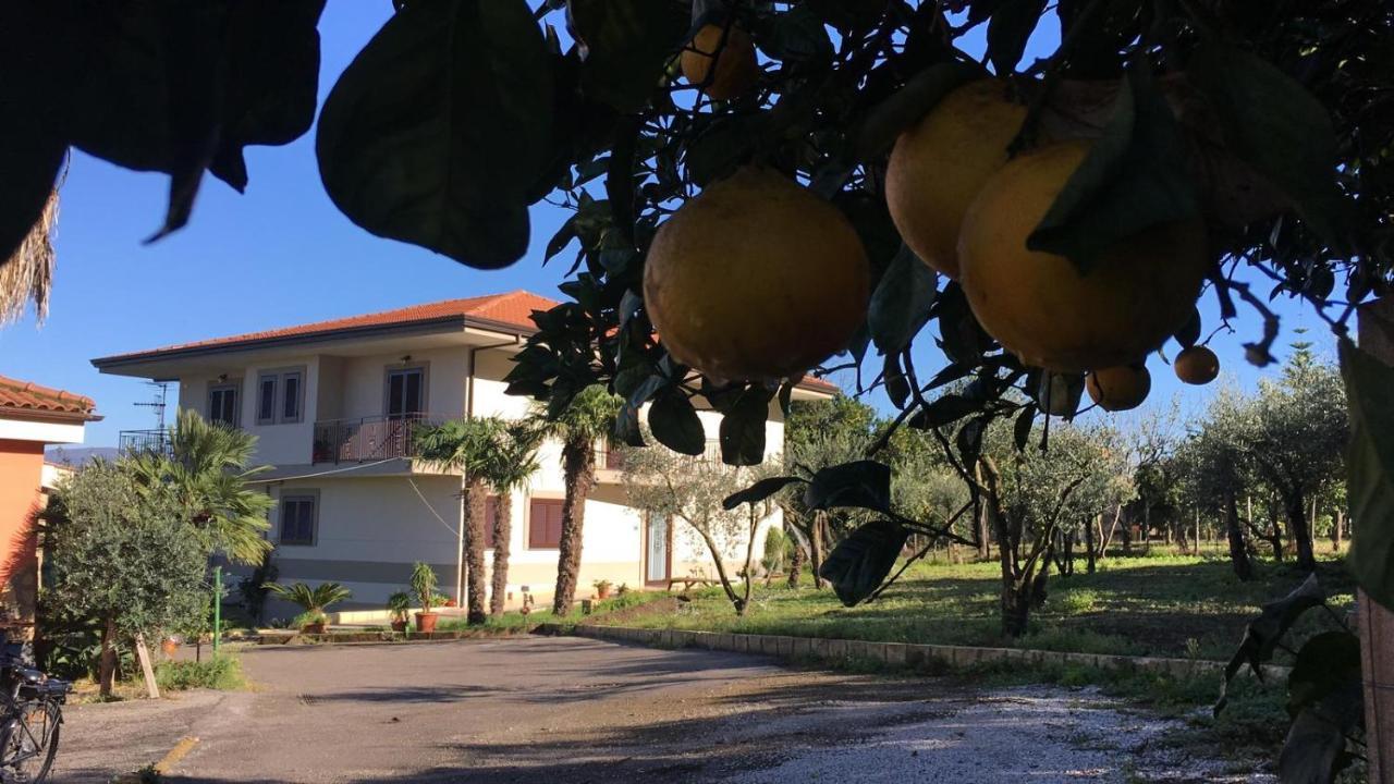 B & B Evergreen Corbara  Exterior foto
