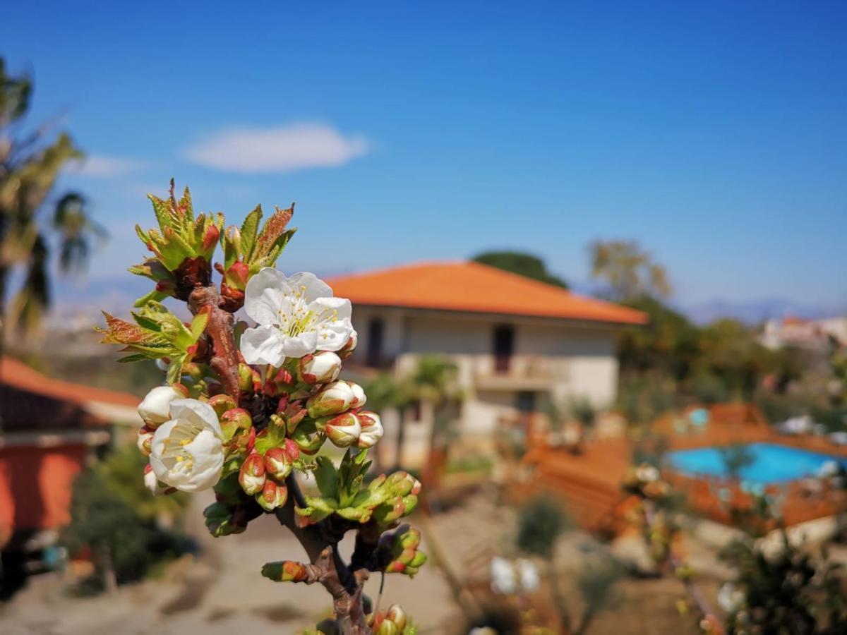 B & B Evergreen Corbara  Exterior foto