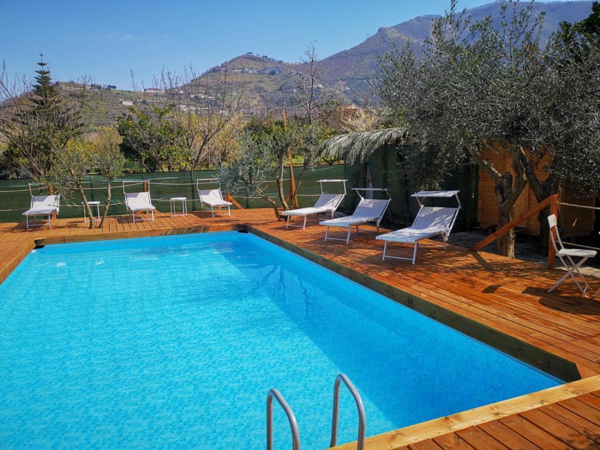 B & B Evergreen Corbara  Exterior foto